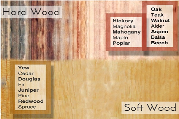 The Curious case of Hard Wood and Soft Wood