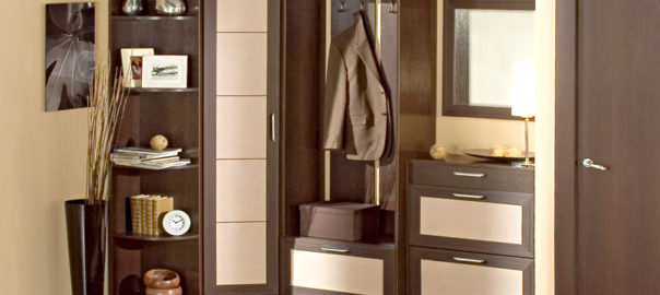 Design of a Beautiful Wardrobe by Flavviya Interiors Pvt Ltd