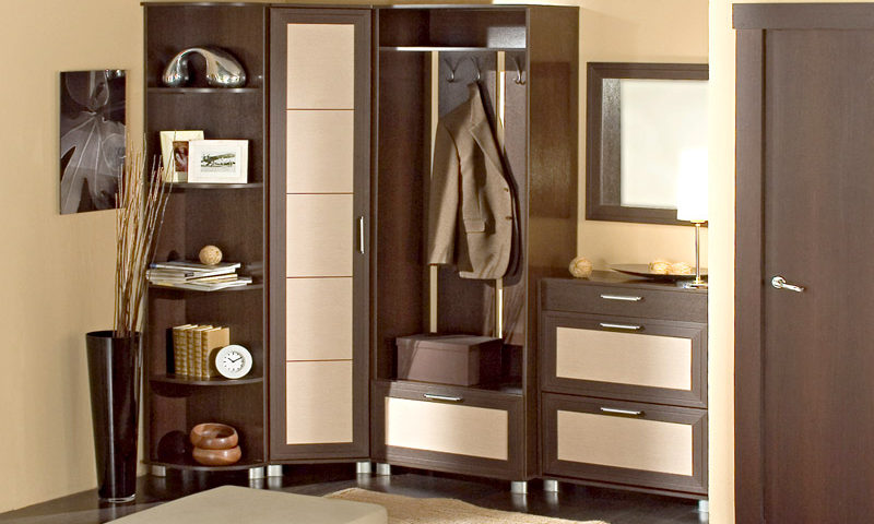 Design of a Beautiful Wardrobe by Flavviya Interiors Pvt Ltd